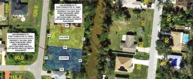 Beach Lot For Sale in Port Charlotte, Florida