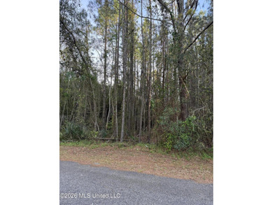 Beach Lot For Sale in Pass Christian, Mississippi