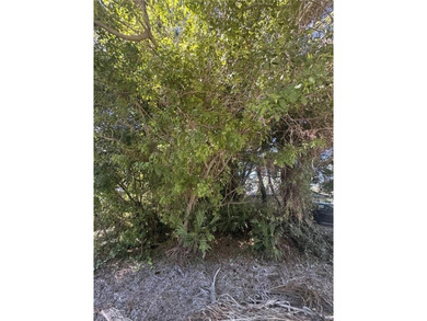 Beach Lot For Sale in Vero Beach, Florida