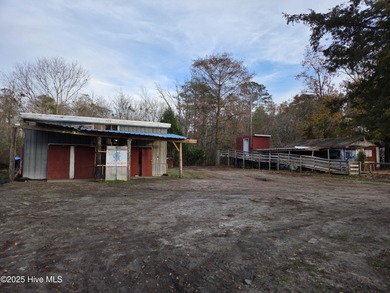 Beach Lot For Sale in Newport, North Carolina