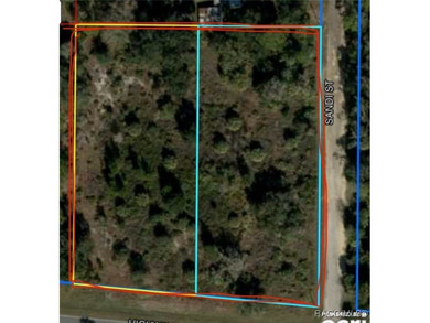 Beach Acreage For Sale in Inglis, Florida