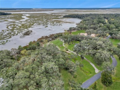 Beach Lot For Sale in Townsend, Georgia