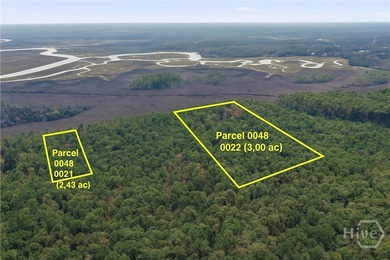 Beach Acreage For Sale in Townsend, Georgia