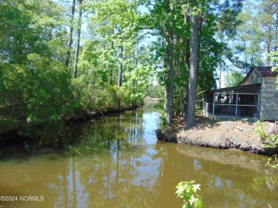 Beach Lot For Sale in Lowland, North Carolina