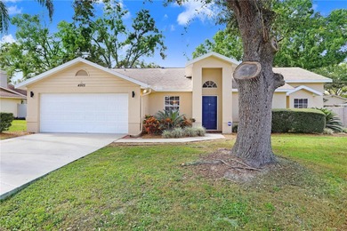Beach Home For Sale in Land O Lakes, Florida