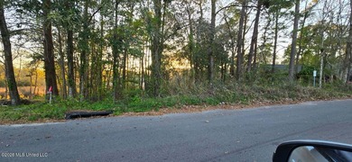 Beach Lot For Sale in Ocean Springs, Mississippi