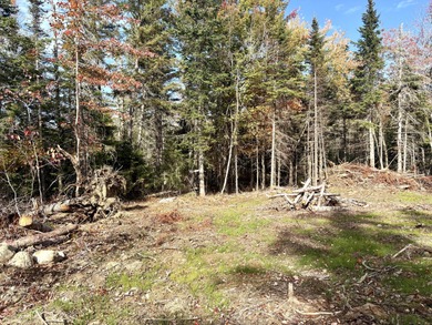 Beach Lot For Sale in Perry, Maine