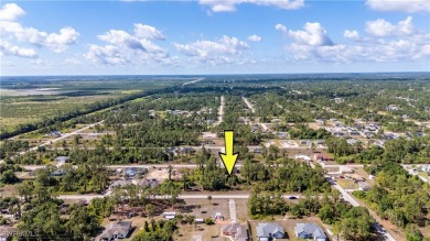 Beach Lot For Sale in Lehigh Acres, Florida