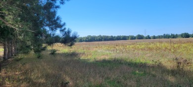 Beach Acreage For Sale in Pentwater, Michigan