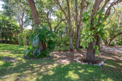 Beach Lot For Sale in Titusville, Florida