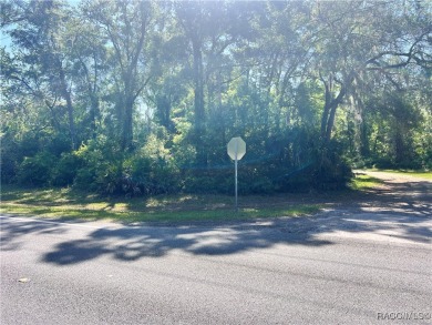 Beach Lot For Sale in Crystal River, Florida