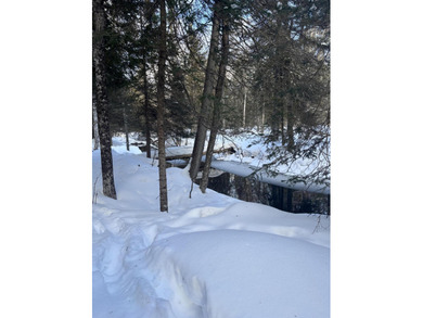 Beach Lot For Sale in Cedarville, Michigan