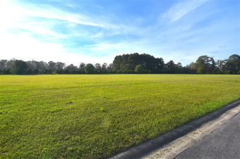 Beach Lot Off Market in Arapahoe, North Carolina