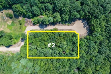 Beach Lot For Sale in South Haven, Michigan