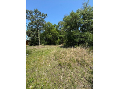 Beach Lot For Sale in Crystal River, Florida