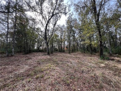 Beach Lot For Sale in Brunswick, Georgia