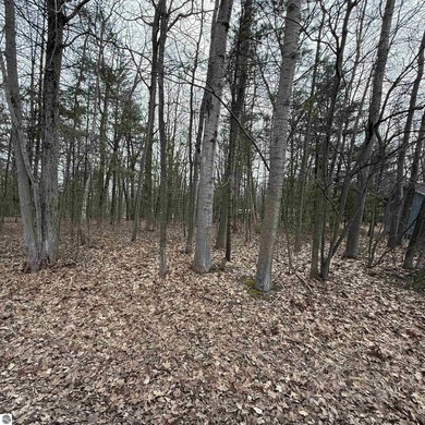 Beach Lot For Sale in Oscoda, Michigan