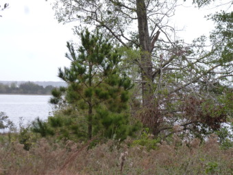 Beach Acreage Off Market in Swansboro, North Carolina