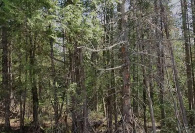 Beach Lot Sale Pending in Grand Haven, Michigan