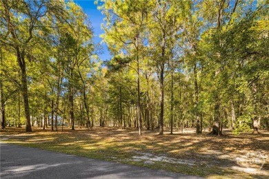 Beach Acreage For Sale in Richmond Hill, Georgia