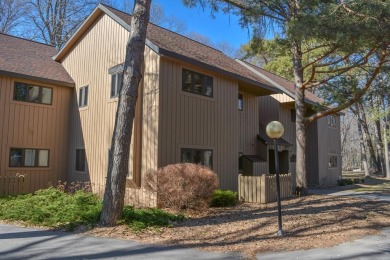 Beach Condo For Sale in Egg Harbor, Wisconsin