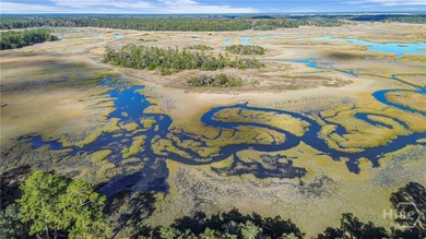 Beach Home For Sale in Townsend, Georgia