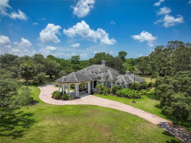 Beach Home For Sale in Tarpon Springs, Florida