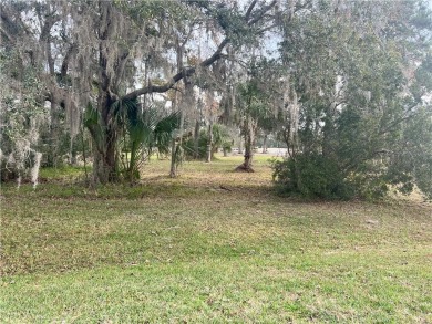 Beach Lot For Sale in Brunswick, Georgia