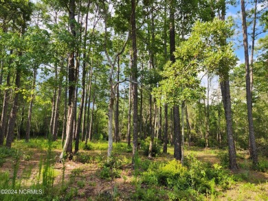 Beach Lot For Sale in New Bern, North Carolina