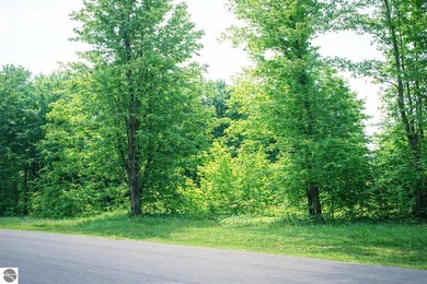 Beach Lot For Sale in Petoskey, Michigan