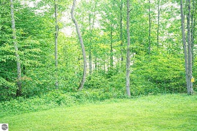 Beach Lot For Sale in Petoskey, Michigan