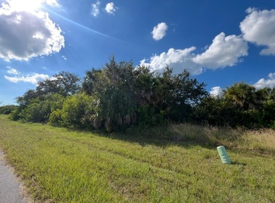 Beach Lot For Sale in Rotonda West, Florida