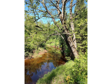 Beach Acreage For Sale in Ontonagon, Michigan