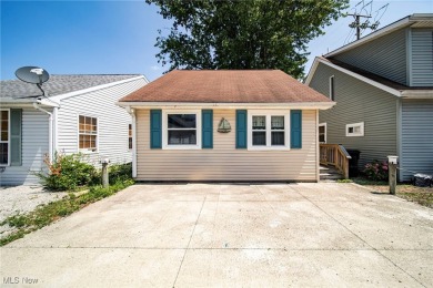 Beach Home For Sale in Ashtabula, Ohio