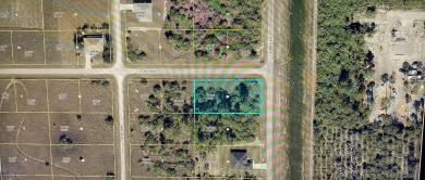 Beach Lot For Sale in Lehigh Acres, Florida