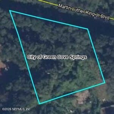 Beach Lot For Sale in Green Cove Springs, Florida