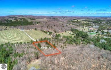 Beach Lot For Sale in Cedar, Michigan