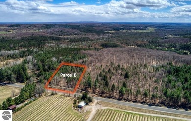 Beach Lot For Sale in Cedar, Michigan