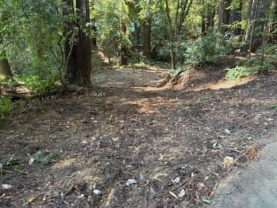 Beach Lot For Sale in Boulder Creek, California