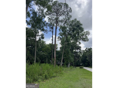 Beach Lot For Sale in Saint Marys, Georgia