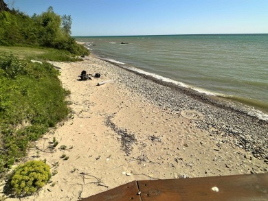 Beach Acreage For Sale in Carsonville, Michigan