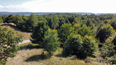 Beach Lot For Sale in Onekama, Michigan