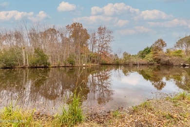 Beach Lot For Sale in Edenton, North Carolina