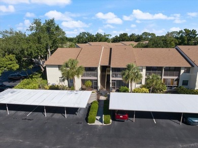 Beach Condo For Sale in Venice, Florida