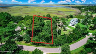 Beach Lot For Sale in Jacksonville, Florida