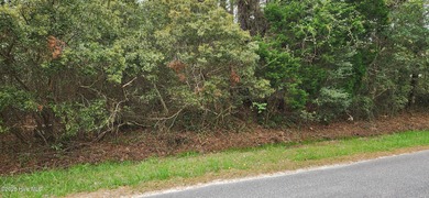 Beach Lot Active Under Contract in Southport, North Carolina