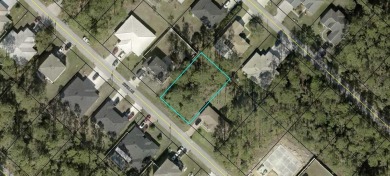 Beach Lot For Sale in Palm Coast, Florida