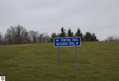 Beach Lot For Sale in Petoskey, Michigan