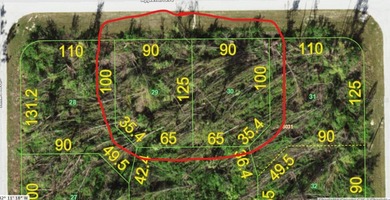 Beach Lot For Sale in Port Charlotte, Florida