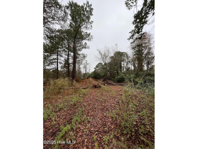 Beach Lot For Sale in Beaufort, North Carolina